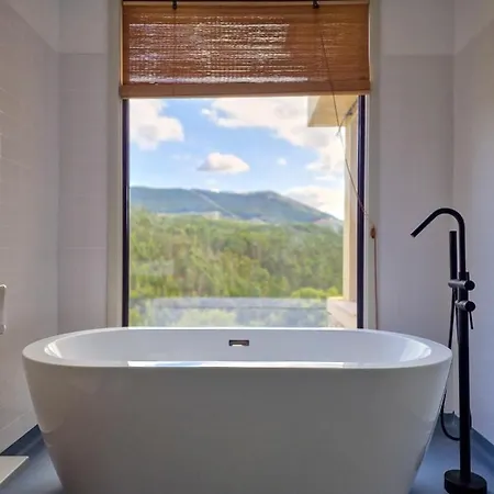 Casas De Gondarem By The Douro Valley